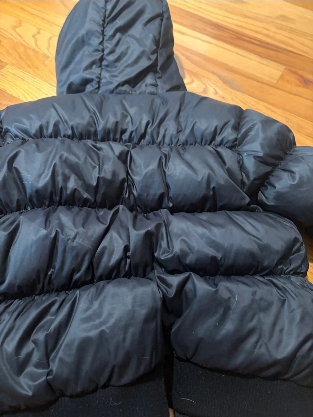 Appaman Black Hooded Puffer Coat for Kids